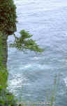 img0024.jpg (96035 bytes)