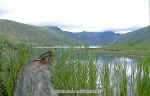 img0027.jpg (85692 bytes)