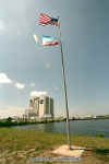 img0081.jpg (65707 bytes)