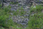 020723-144133a.jpg (303265 bytes)