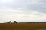 020713-152832.jpg (92848 bytes)